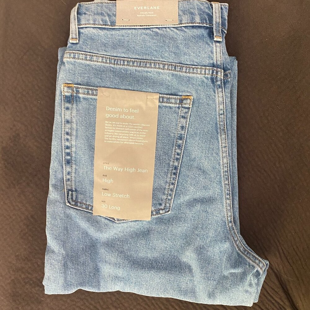 Everlane The Way High Jean Light Indigo